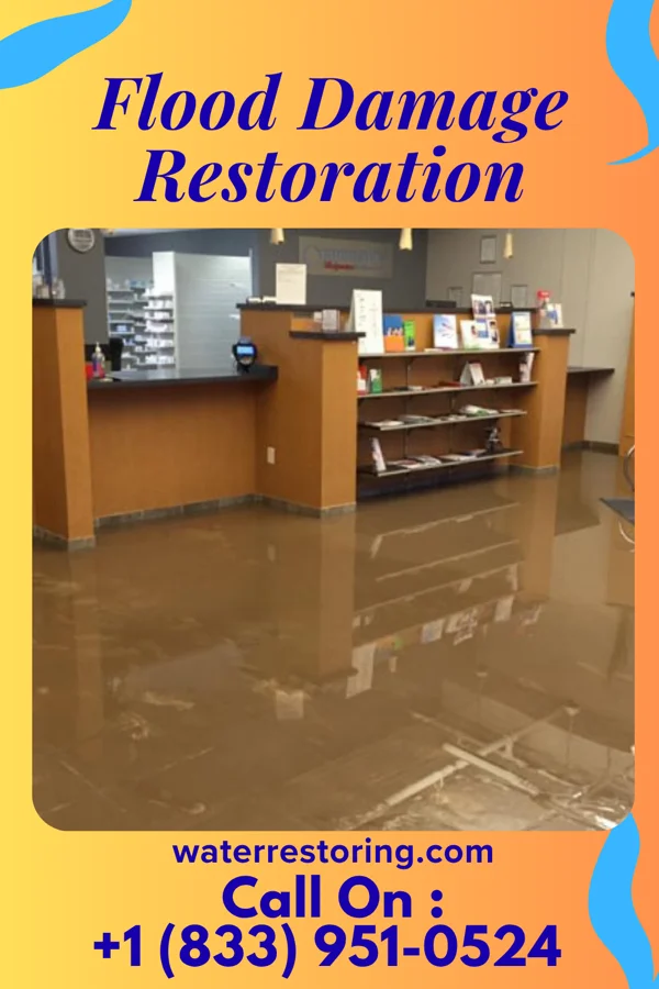 Flood Damage Restoration in Clyattville, GA