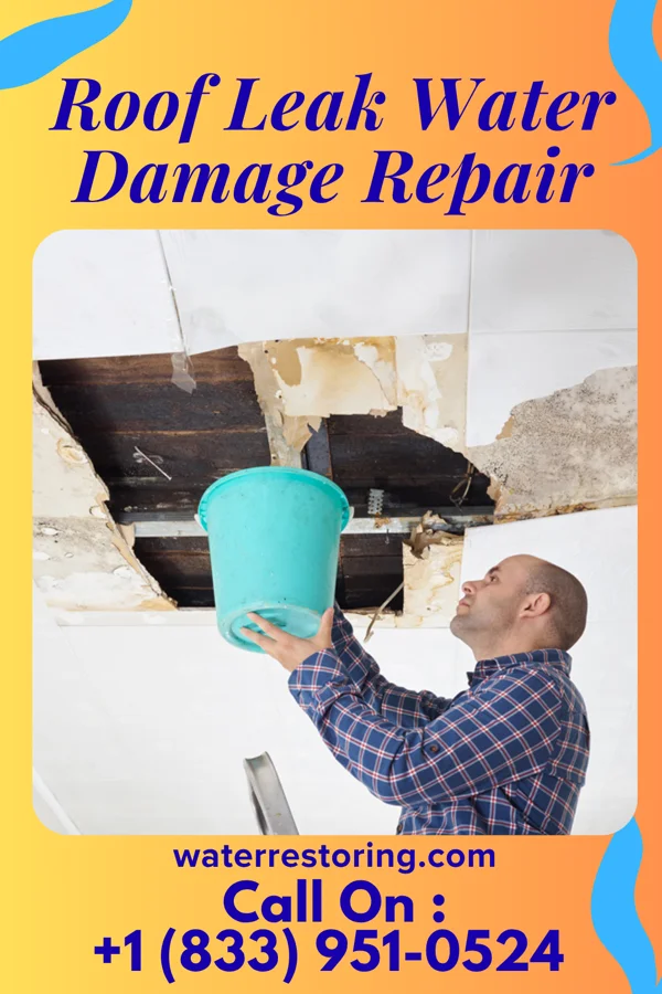 Roof Leak Water Damage Repair in Clyattville, GA